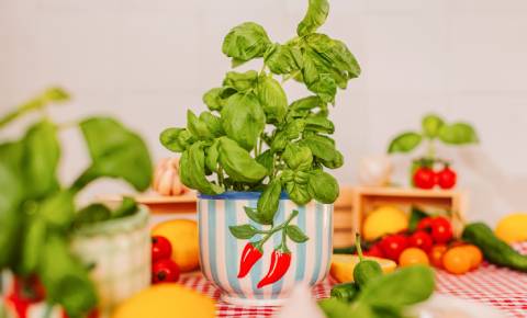 Planters