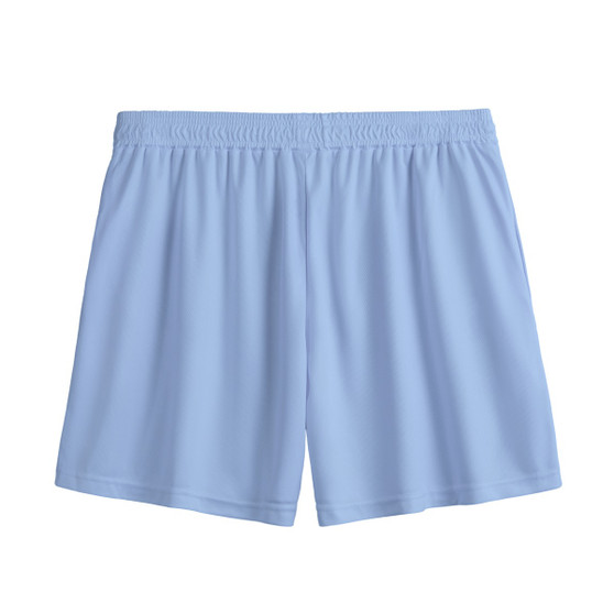 Iconic Bussy Brand Logo Men's Mesh Shorts