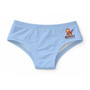 Bussy Boy Sweet Edition Cotton Candy Men's Brief Panties|Cotton