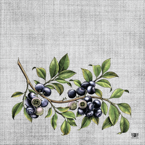 B&Y Paper Placemat Vintage Weave Grey Blueberries