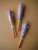 Scented Lollipop Eraser & Pencil Duo