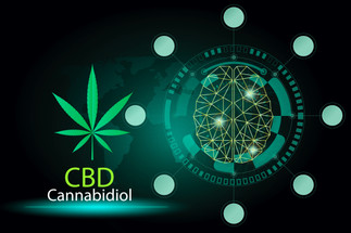 Why you should ALWAYS Work With A CBD Network Why you should ALWAYS Work With A CBD Network