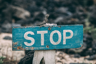 4 Things to Never Do When Starting A CBD Business 4 Things to Never Do When Starting A CBD Business