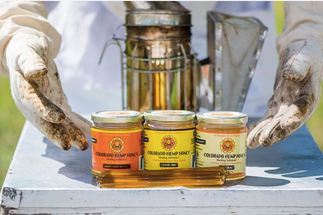 Top 5 Most Unique CBD Products in the USA in 2020