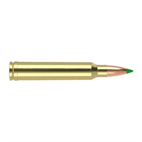 Nosler .300 Winchester Mag Hunting Spitzer Ballistic Tip 180 Grain 20/Box