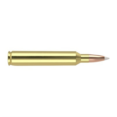Nosler 7mm RUM Trophy Grade Nosler Spitzer Partition 160 Grain 20/Box