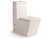 Aqua One-Piece Dual Flush Square Toilet w/ Soft Closing Seat