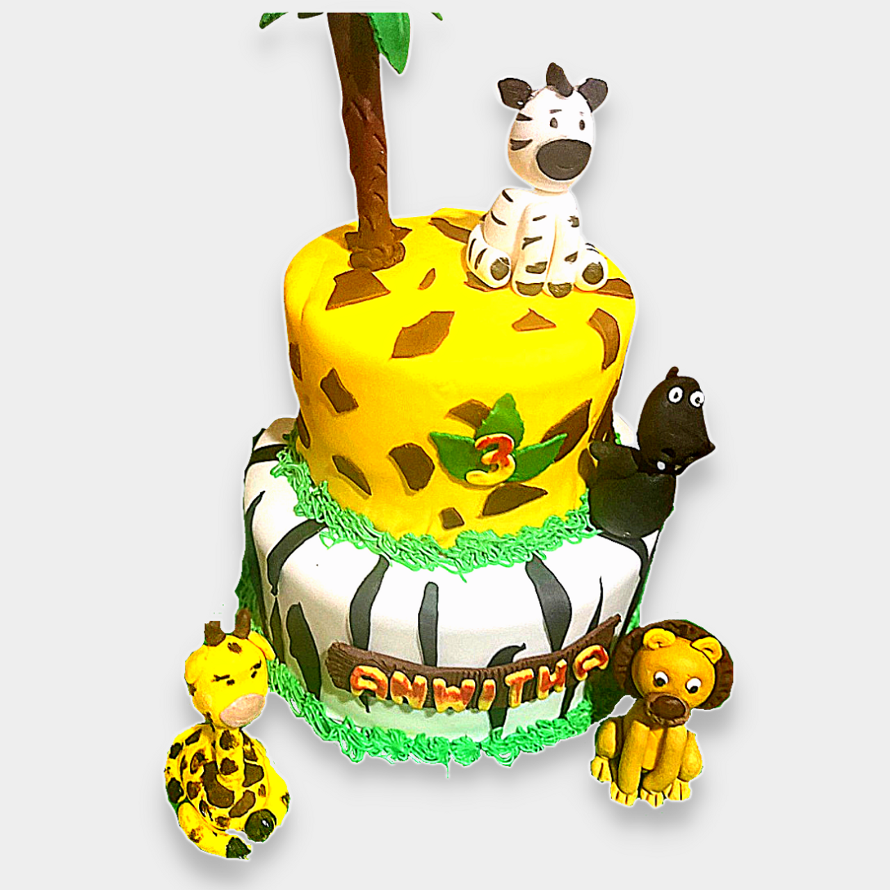 Madagascar Island Fever Photo Cake | Freedom Bakery