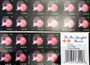 Star-Spangled Banner Fireworks Forever Postage Stamps