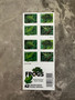 Frogs Forever First Class Postage Stamps