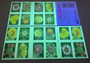 Cactus Flowers Forever First Class Postage Stamps