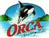 Orca Sodas