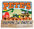 Pete's Pumkin Patch Soda