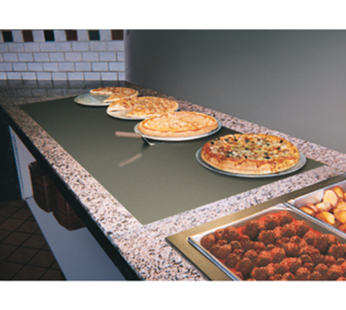 Hatco GRSBF-54-I Glo-Ray® Built-in Rectangular Heated Shelf with Flush Top 55.5"W x 21"D - Drop-In Food Warmers for Buffet, Serving Lines & Display - 1110 Watts