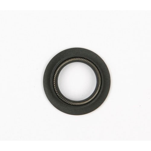 Blodgett R4244 (or Equivalent) Motor Shaft Seal  (8002871)