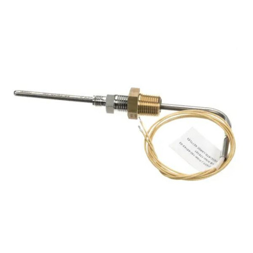 Groen 175100 (or Equivalent) Probe/Sensor Assembly, Rtd, Large Kettles (8021798)