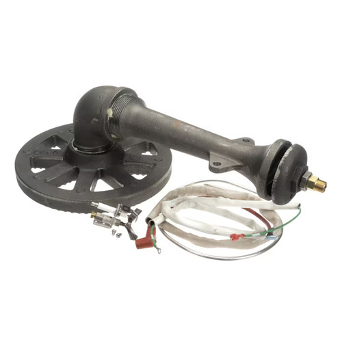 Groen 117090 (or Equivalent) Asm Burner & Sensor Ah/1 E-40 (N21427638)