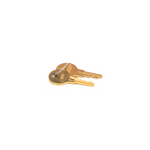 True 831307 (or Equivalent) True Key Set, 1289, Gdm, Tmc, 2 Pack (8133883)