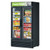 Turbo Air TGF-35SD-N 39.5''  2 Section Black  Glass Door Merchandiser Freezer  Refrigerant  R290   28.44 Cu. Ft