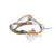 Blodgett 36247 (or Equivalent) Harness, Control, Dfg50 Iq Mod (N21407362)