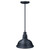 Hatco DL-760 DL Shade Style 760 Commercial Kitchen Heat Lamp - Decorative Food Warming Lamp - 250 Watt
