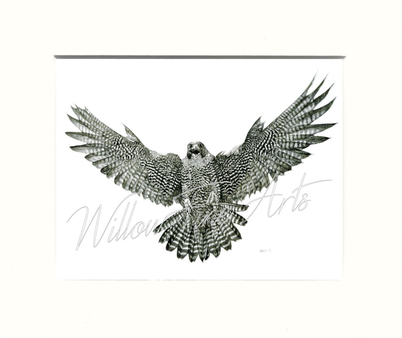 Custom Greeting Card Printing & Design - Hawk Prints