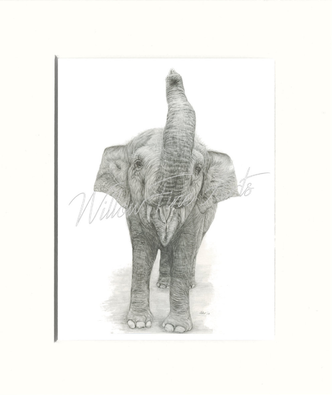 Charcoal Elephant Print