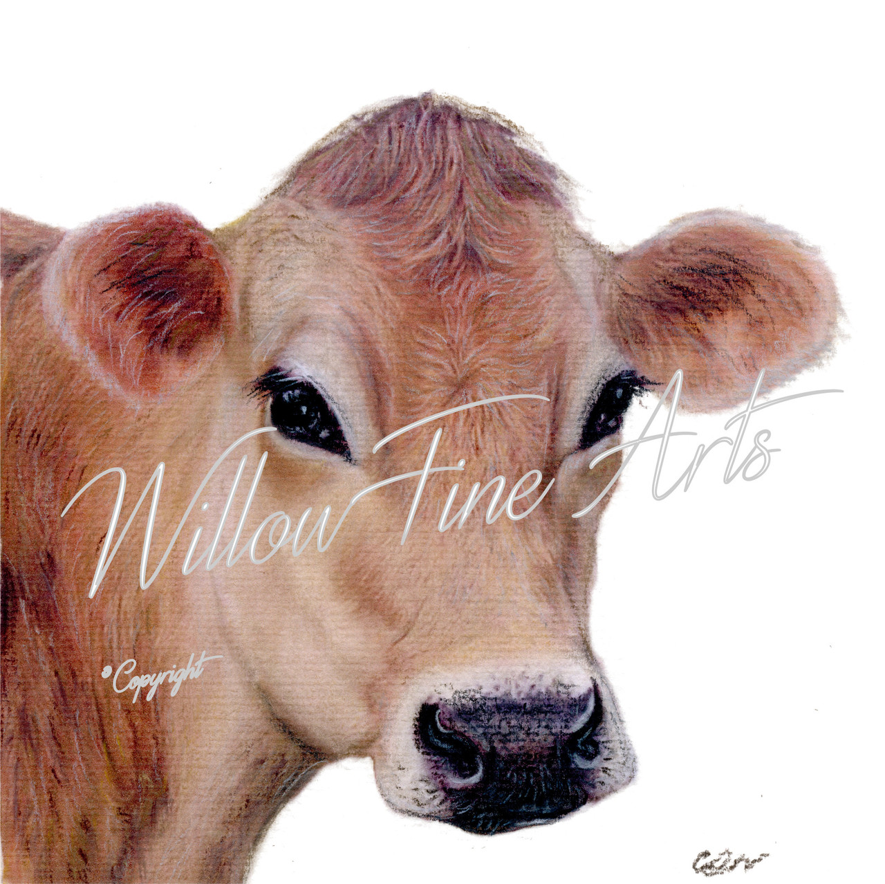 Pretty Cow Jersey Cow Pastel Artwork Print On Canvas