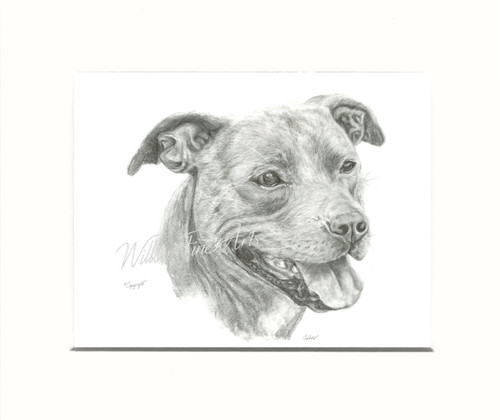 Mounted Print (Unframed)