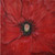 Poppy - Greeting card