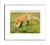 White Framed Print 10x8inch