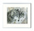 White Framed Print