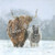 'Highland Cow & Shetland Pony in Snow' Card