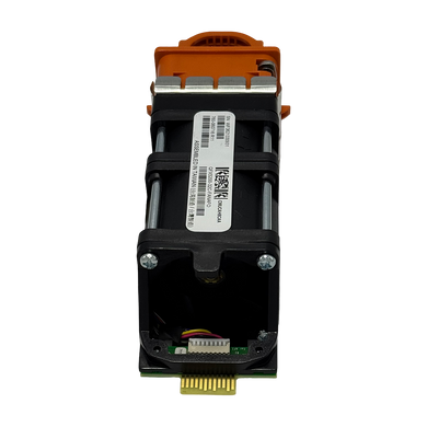 Back view