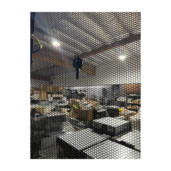 A close-up view looking through the black perforated mesh door of a server rack cabinet with a black door key hanging in the center