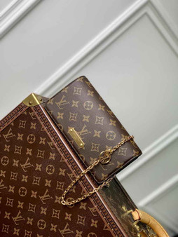 Louis Vuitton Wallet On Chain Lvy M82509 Monogram Canvas