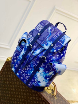 Louis Vuitton LV M20554 Christopher PM Backpack Leather Blue - 38 x 44 x 21 cm / Blue - View 1