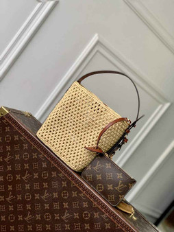 Louis Vuitton All In BB Bag M14217 Brown Raffia - Default Title - View 1