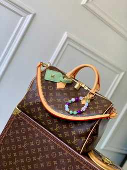 Louis Vuitton Speedy Soft 30 Lucky M15107