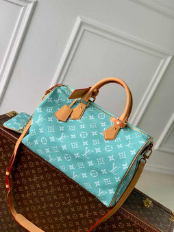 Louis Vuitton Speedy P9 Bandoulière 40 M24417 Light Green