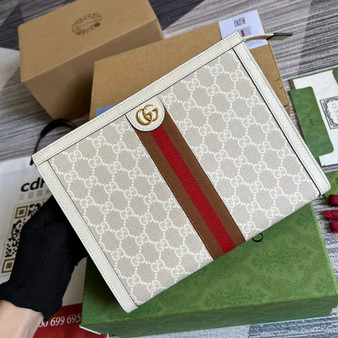 Gucci 625549 Ophidia pouch beige