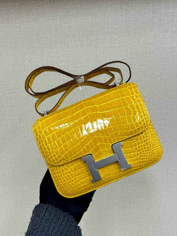Hermes Constance Crocodile Leather Yellow Silver H282265 - 19cm - View 1