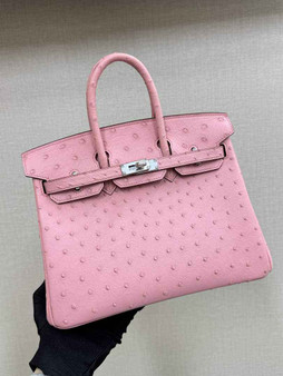 Hermès birkin bag 25cm ostrich leather - brown-gold - View 1
