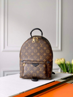 Louis Vuitton LV M44871 Palm Springs PM Monogram Canvas - 22 x 29 x 10 cm / Monogram Canvas - View 1