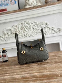 Hermes Lindy Mini Bag Togo Leather Gold Gray H68611 - Default Title - View 1
