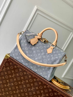 Louis Vuitton Speedy Soft 30 M13344
