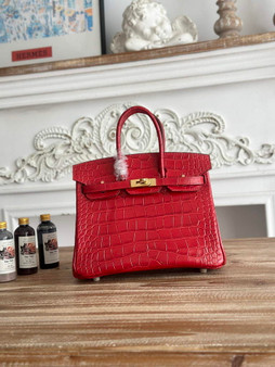 Hermès Birkin Bag 25 Calfskin Red