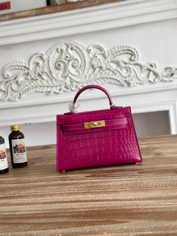 Hermes Kelly Bag 19cm Calfskin Plum Gold