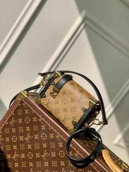 Louis Vuitton Side Trunk PM M46815 Monogram