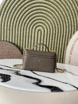 Chanel Vanity with chain, AP5346 Lizard Gray